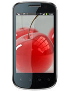 Best available price of Celkon A19 in Belgium