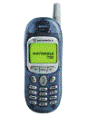 Best available price of Motorola T190 in Belgium