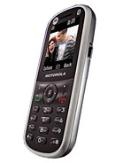 Best available price of Motorola WX288 in Belgium