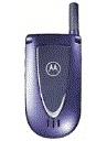 Best available price of Motorola V66i in Belgium